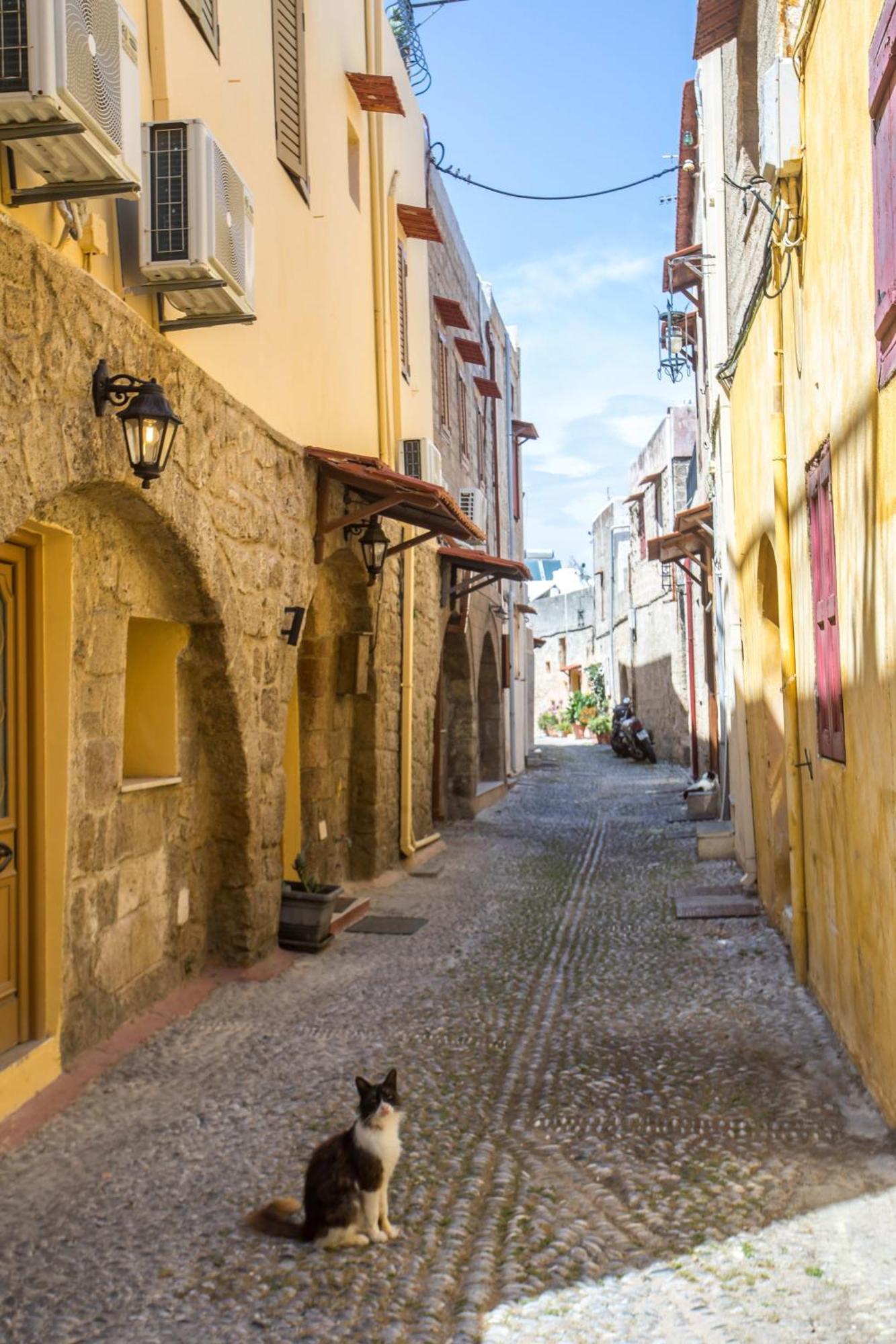 Rodos Old Town Authentic Alexandra Stone House Apartment